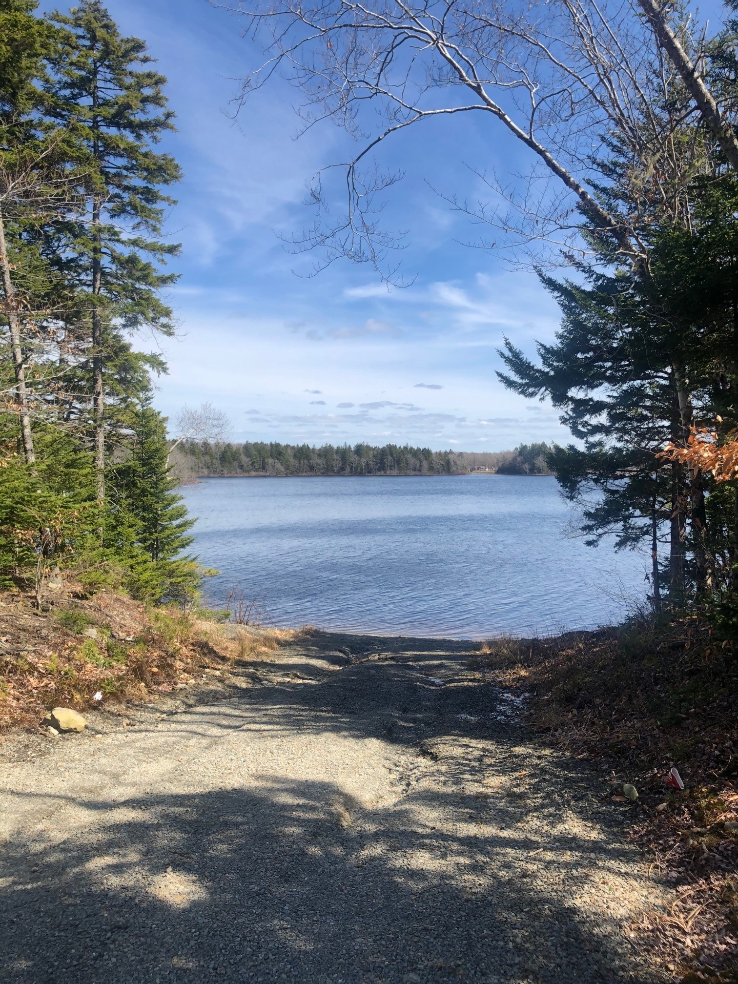 Wentworth park Boat launch1