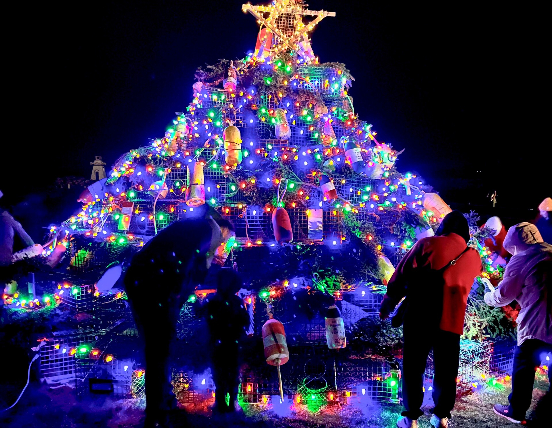 The lighting of Clare's first lobster trap tree